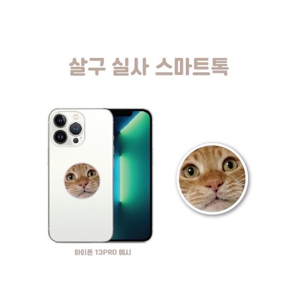 캐츠패치 후원_살구 실사 스마트톡